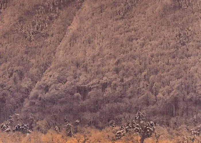 Marius Apartament Braszów